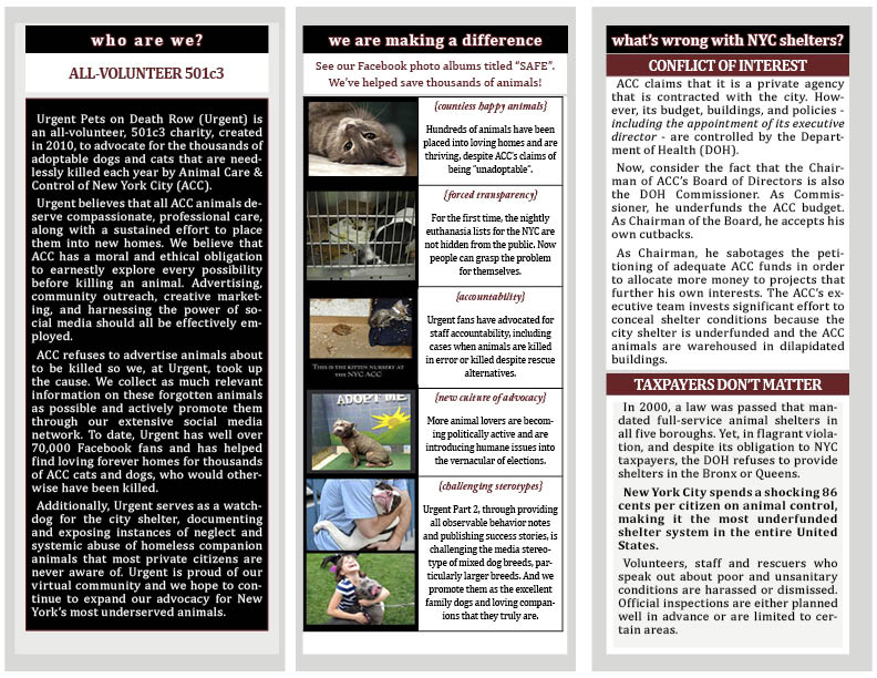 Modified design of an existing Urgent brochure to reflect branding and the merger of two organizations into one page 2