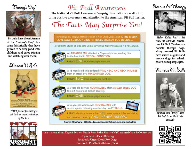 Designed awareness flyer for Urgent, 501(c)3, for a National Pit Bull Awareness event