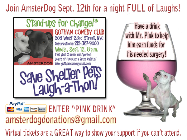 Designed flyer for AmsterDog Animal Rescue, 501(c)3, for a fundraiser event at Gotham Comedy Club