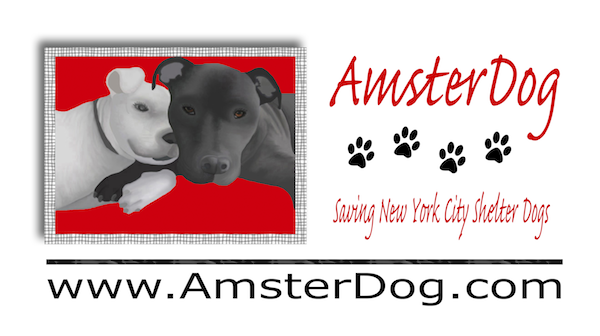 Designed 40″(w) x 24″(h) banner for AmsterDog Animal Rescue for trade shows and exhibits