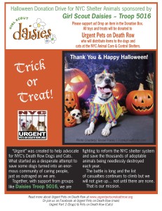 Flyer for the Daisy Troop #5016 & Urgent Pets on Death Row to promote a fundraiser.