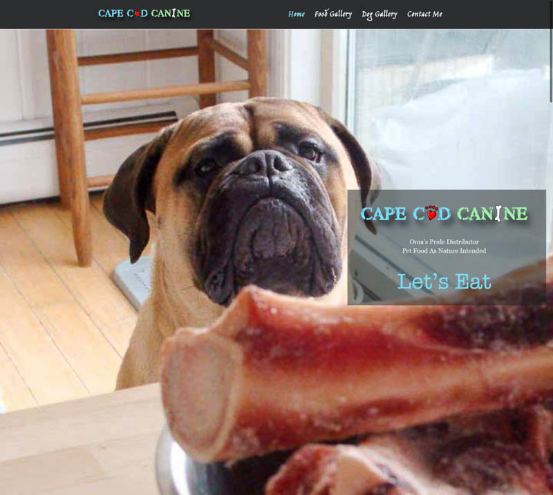 Cape Cod Canine WordPress Site screenshot